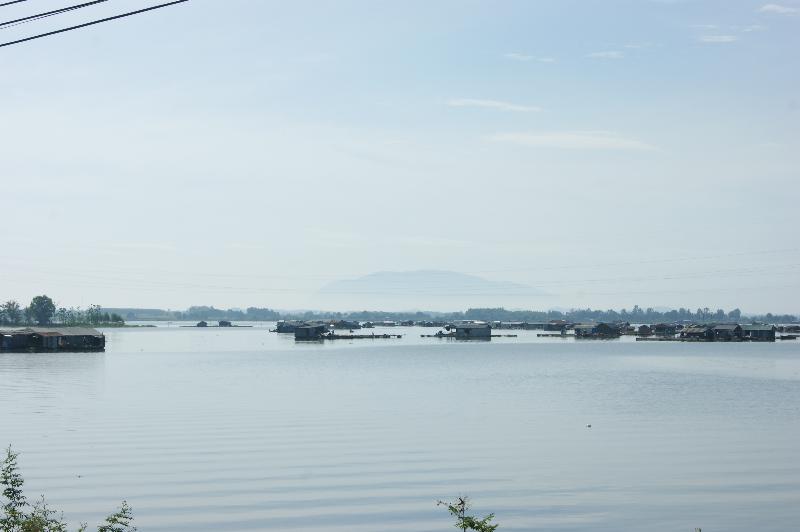 thả cá bè trên sông La Ngà