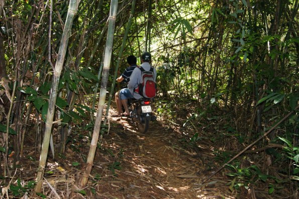 Xuyên rừng tre trúc